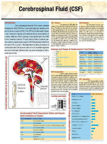 Cerebrospinal Fluid (CSF) poster